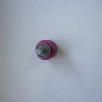 Rebolo enfestadeira Oshima